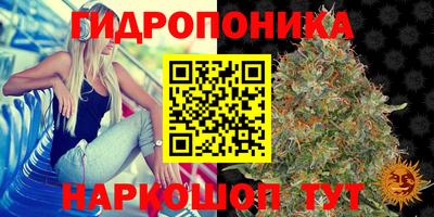 молекула духа Краснознаменск