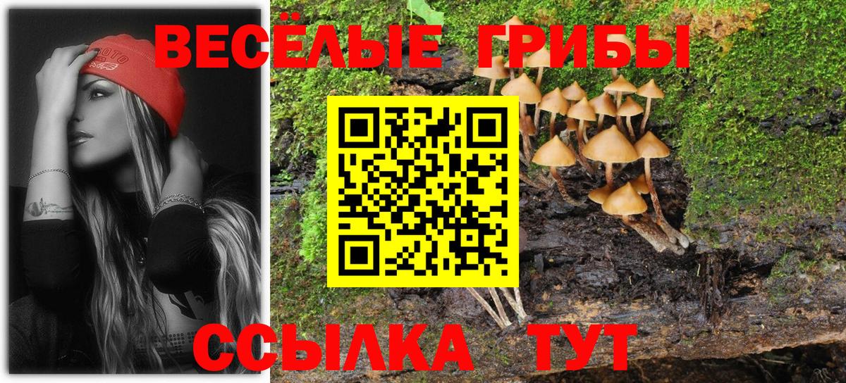 Шарыпово  Псилоцибиновые грибы GOLDEN TEACHER  Вход с VPN  Псилоцибиновые грибы Psilocybine cubensis 
